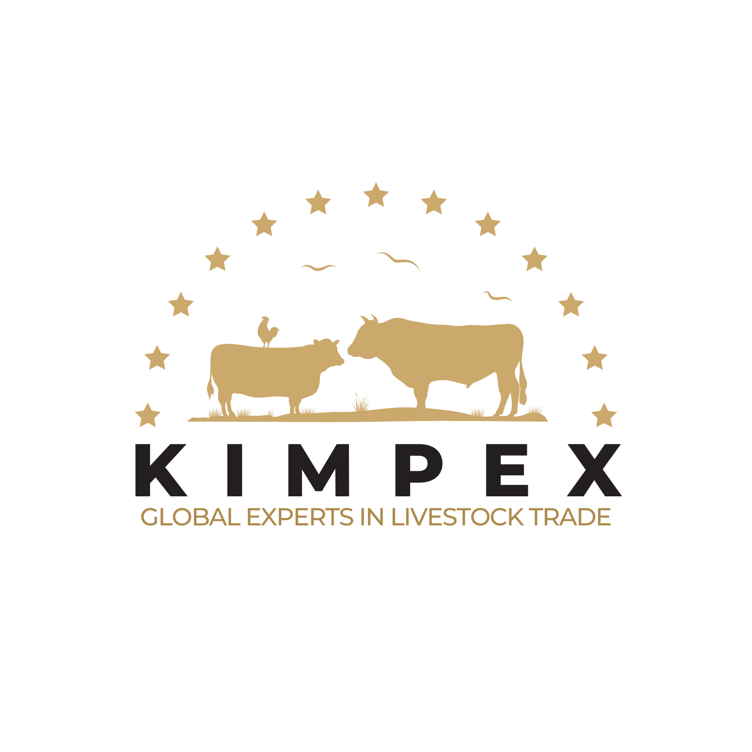 logo kimpex société d'importation de bétail en tunisie